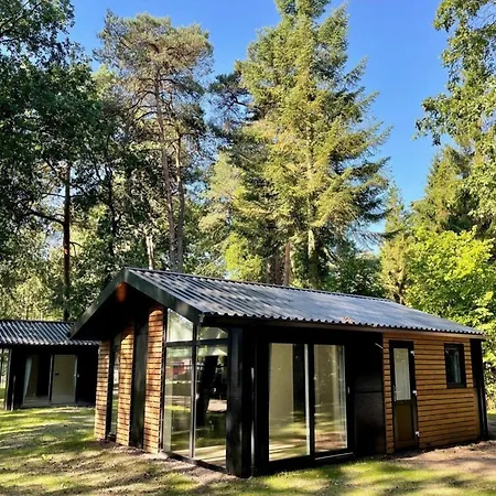 Beautiful In The Woods Of The Veluwe Chalet Beekbergen