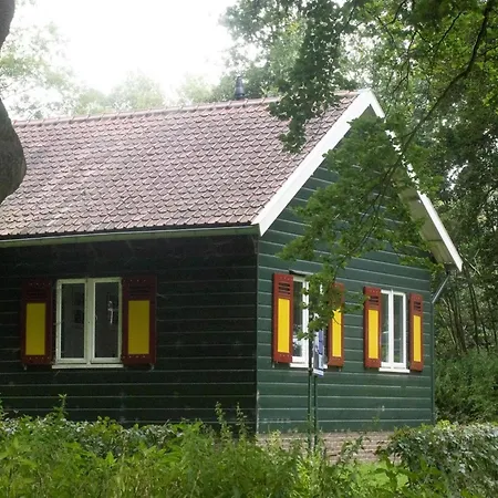 In Veluwe Near Hoge Veluwe Park