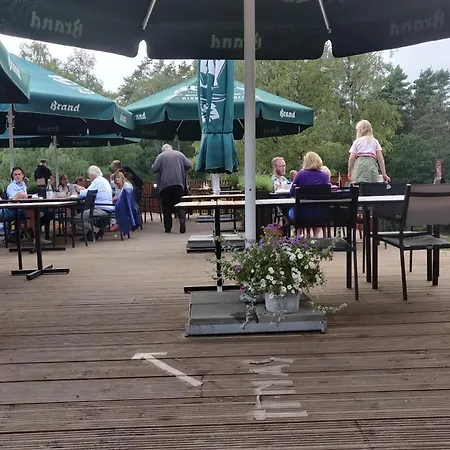 In Veluwe Near Hoge Veluwe Park *