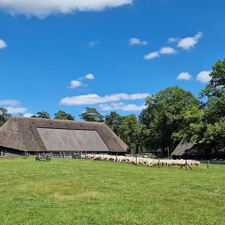 Beautiful In The Woods Of The Veluwe Chalet *