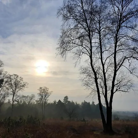 In Veluwe Near Hoge Veluwe Park *