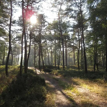  In Veluwe Near Hoge Veluwe Park