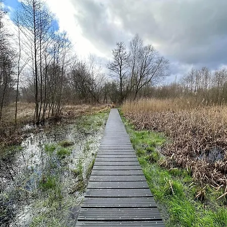  In Veluwe Near Hoge Veluwe Park Beekbergen